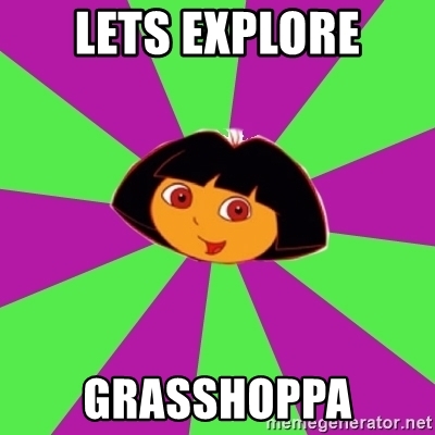 lets-explore-grasshoppa.jpg