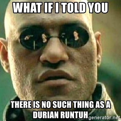what-if-i-told-you-there-is-no-such-thing-as-a-durian-runtuh.jpg