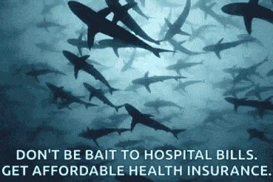 Shark Insurance