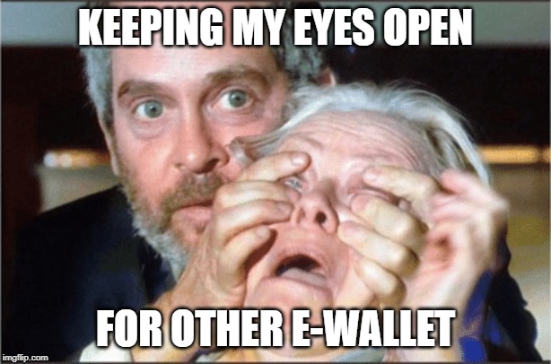 Other E Wallet malaysia