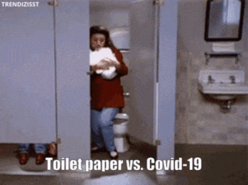 Toilet Paper vs Covid19